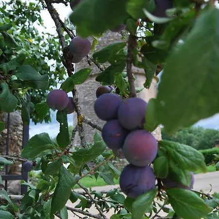 Couette-café Mas De Garrigue 4*